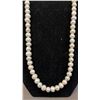 Image 2 : BAG OF (15) FRESHWATER PEARL NECKLACES