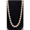 Image 3 : BAG OF (11) ASSORTED PEARL NECKLACES