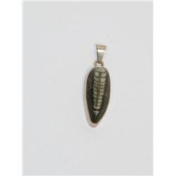 Over One Million Year Fossil Set On Pendant