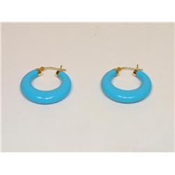 AAA Turquoise Ladies Earrings Hoops