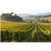 Image 3 : Tuscany Wine & Florence Escape for Four