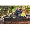 Image 1 : Private Bordeaux Wine Estate Getaway