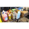 Image 1 : LARGE LOT OF ASSORTED CLEANERS, SAUCES, SYRUPS &