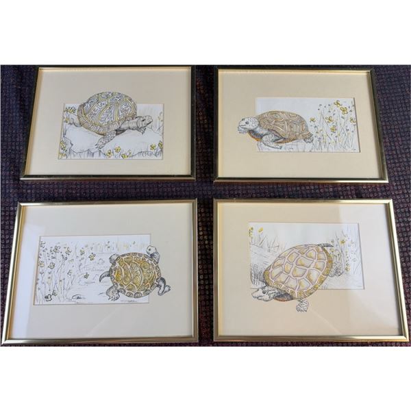4 Framed Turtle Paintings, Each 12x9 Inches with Frame