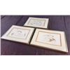 Image 2 : 3 Framed Marcel Creations Bird Art Prints, 12x9 Inches Each