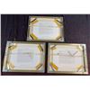 Image 6 : 3 Framed Marcel Creations Bird Art Prints, 12x9 Inches Each
