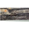 Image 8 : Robert Bateman Wildlife Framed Prints, Both Same Size