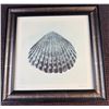 Image 2 : Allen B Carter Framed Shell Prints, Signed