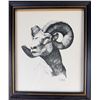 Image 2 : Four Saltiel Wildlife Framed Prints