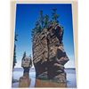 Image 4 : Fred Eaton Framed Hopewell Rocks Photographs