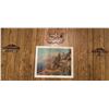Image 2 : 36 Decorative Souvenir Spoons with Wall Racks and Framed Print
