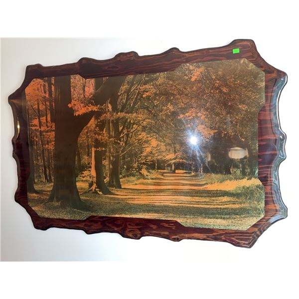 Framed Forest Path Print on Decorative Wood Plaque