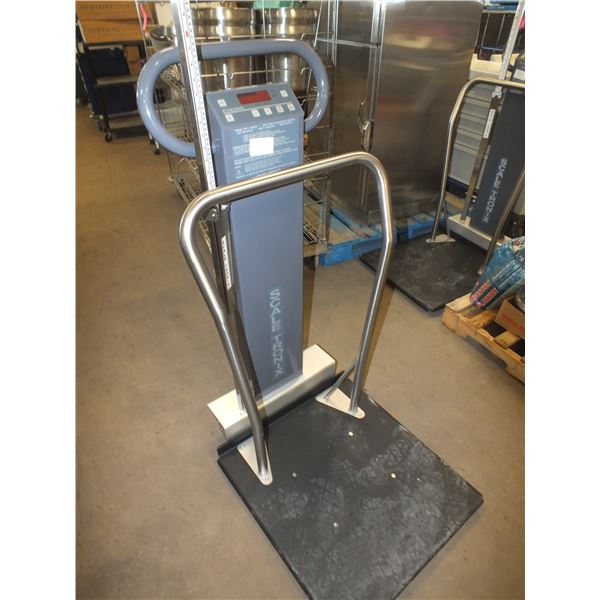 Scale Tronix Weigh Scale