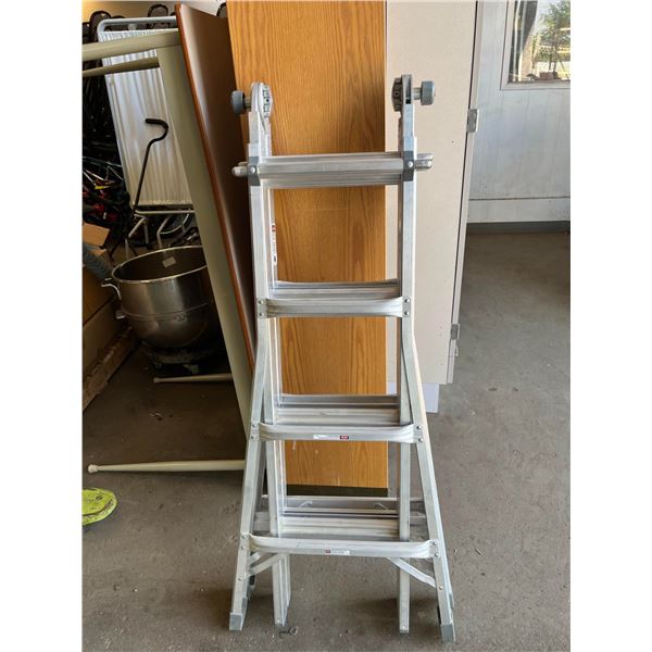 Folding Ladder