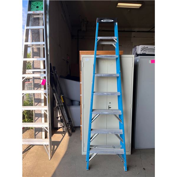 8Ft Ladder