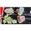 Image 12 : S1 Floral Collection A