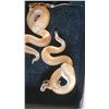 Image 5 : S1 Costume Jewelry A