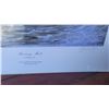 Image 5 : S2 Numbered Prints B