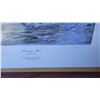 Image 5 : S2 Numbered Prints B