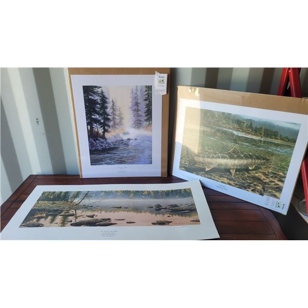 S2 Numbered Prints B