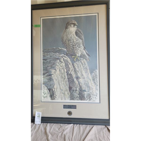 S1 Mountain Monarch - Gyrfalcon by Robert Bateman Numbered Print B