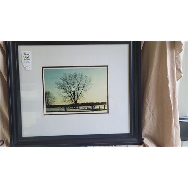 S1 Photographic Art Print by Alicia Soave B