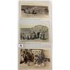 Image 3 : American Indians Album Approx. 230 Postcards