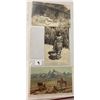 Image 5 : American Indians Album Approx. 230 Postcards