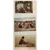 Image 9 : American Indians Album Approx. 230 Postcards
