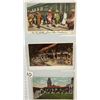 Image 11 : Fred Harvey Album 275+ Postcards