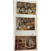 Image 10 : Yellowstone & Yosemite National Park Postcard Album Approx. 180