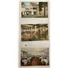 Image 12 : Yellowstone & Yosemite National Park Postcard Album Approx. 180