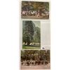 Image 6 : Yellowstone & Yosemite National Park Postcard Album Approx. 180