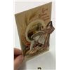 Image 5 : Winsch Thanksgiving Holiday Greeting Postcards 23
