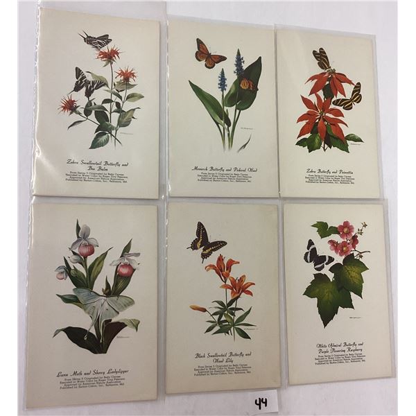 Butterflies & Plants Signed Artist By Barton-Cotton 14 Postcards
