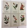 Image 1 : Butterflies & Plants Signed Artist By Barton-Cotton 14 Postcards