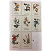 Image 2 : Butterflies & Plants Signed Artist By Barton-Cotton 14 Postcards