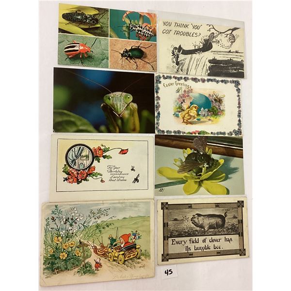 Insects on Postcards 55+