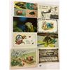 Image 1 : Insects on Postcards 55+