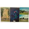 Image 1 : Partially Sorted Group of Florida Postcards Approx. 250