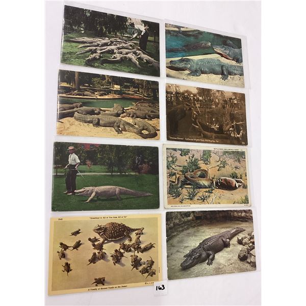 Reptiles on Postcards Approx. 90