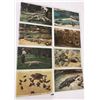 Image 1 : Reptiles on Postcards Approx. 90