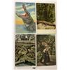 Image 4 : Reptiles on Postcards Approx. 90