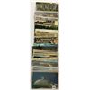 Image 5 : Reptiles on Postcards Approx. 90