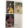 Image 5 : Amusement Park Postcards 30+