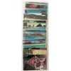 Image 6 : Amusement Park Postcards 30+