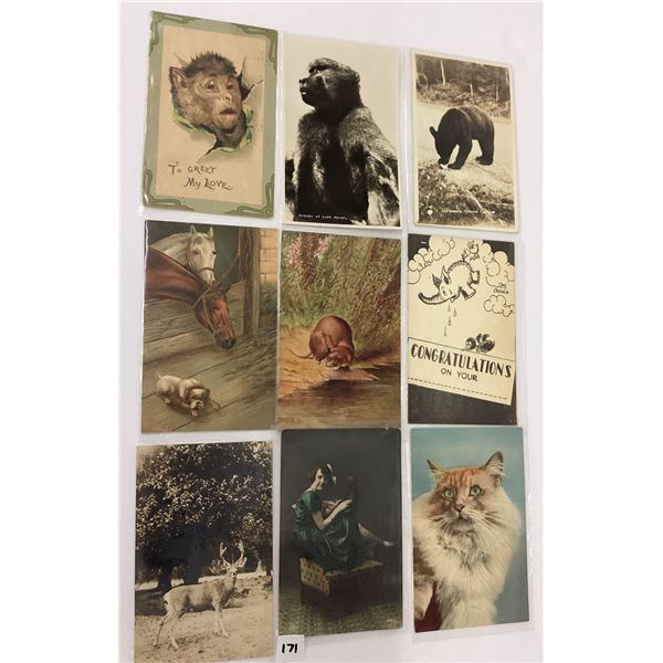Sorted Animal Postcards Approx. 180