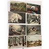 Image 3 : Sorted Animal Postcards Approx. 180