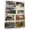 Image 4 : Sorted Animal Postcards Approx. 180