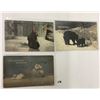 Image 5 : Sorted Animal Postcards Approx. 180